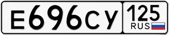 Красивый номер на авто Е696СУ 125
