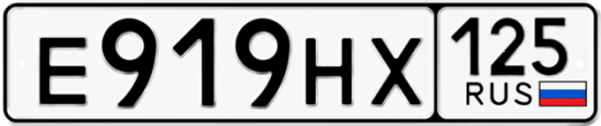 Красивый номер на авто Е919НХ 125