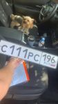 Красивый гос номер С111РС 196
