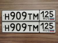 Красивый гос номер Н909ТМ 125