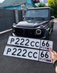 Красивый гос номер Р222СС 66
