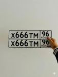 Красивый гос номер Х666ТМ 96